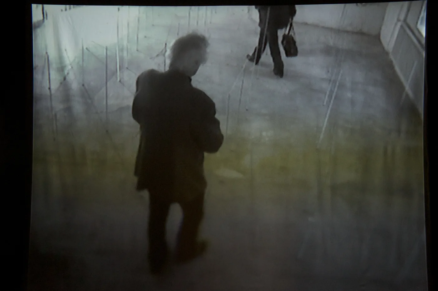 Arena, artwork by Flavio Cury, image 4