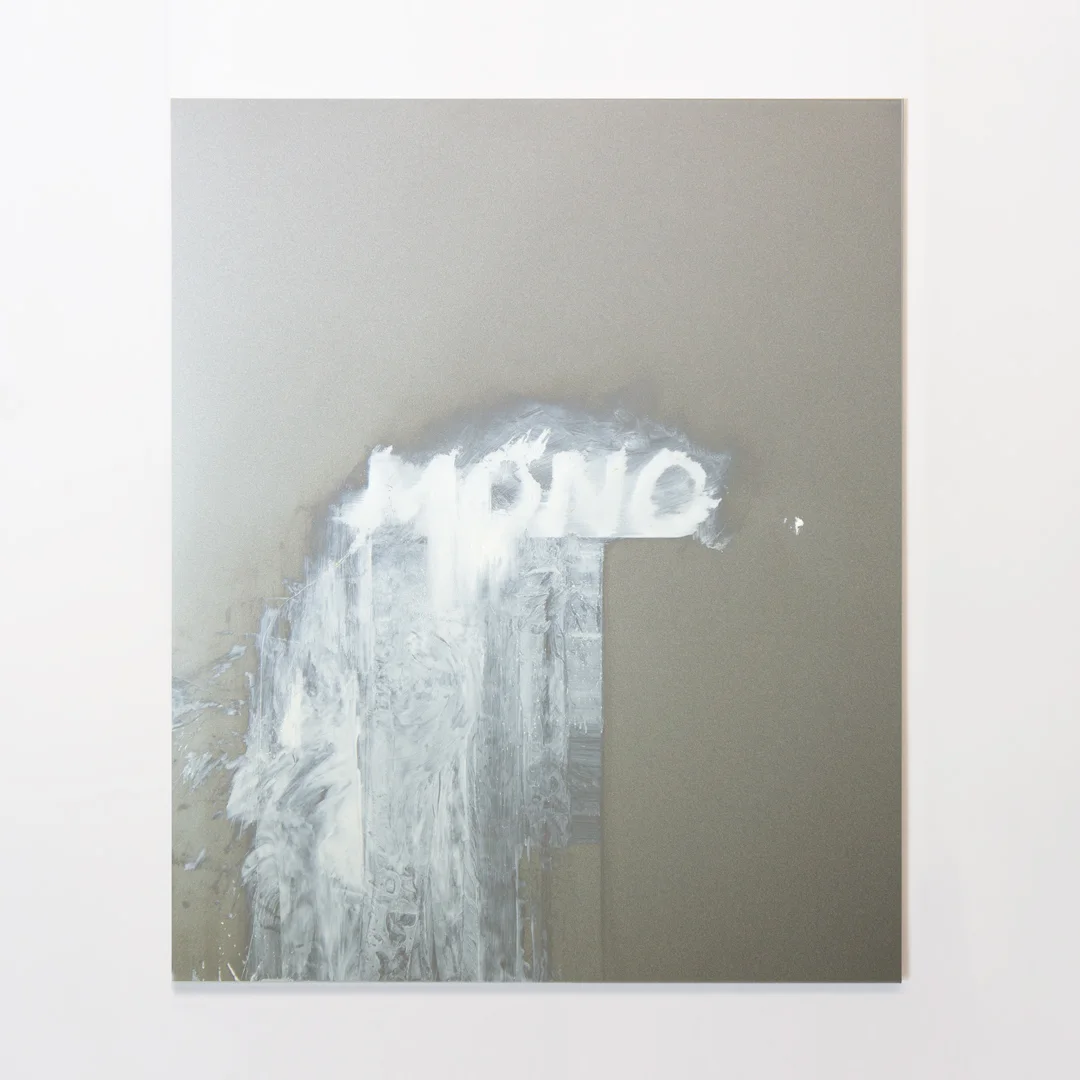 Monada, artwork by Flavio Cury, image 3