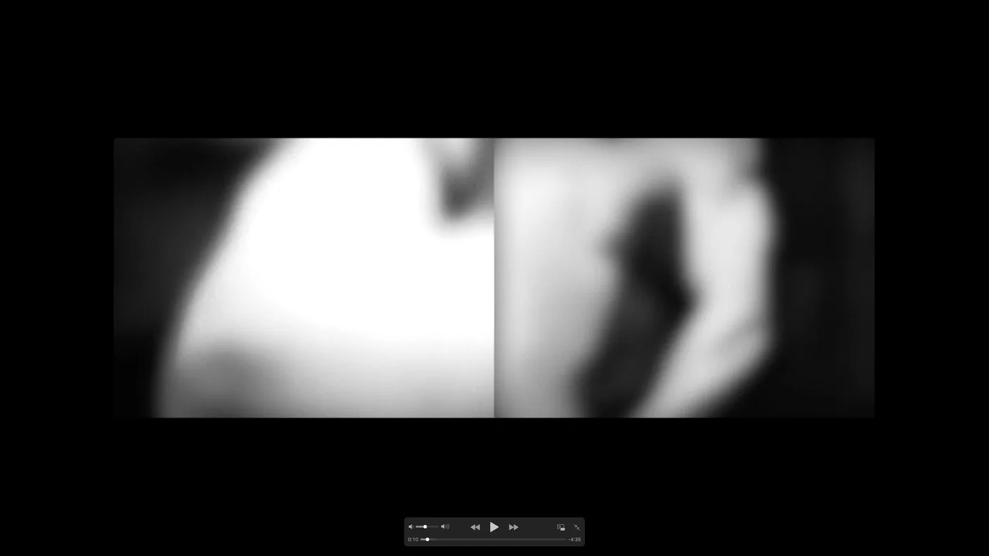 Objects of Imitation, artwork by Flavio Cury, image 4