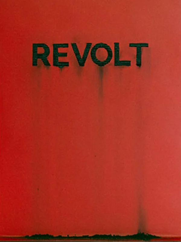 Revolt (objects), artwork by Flavio Cury, image 2